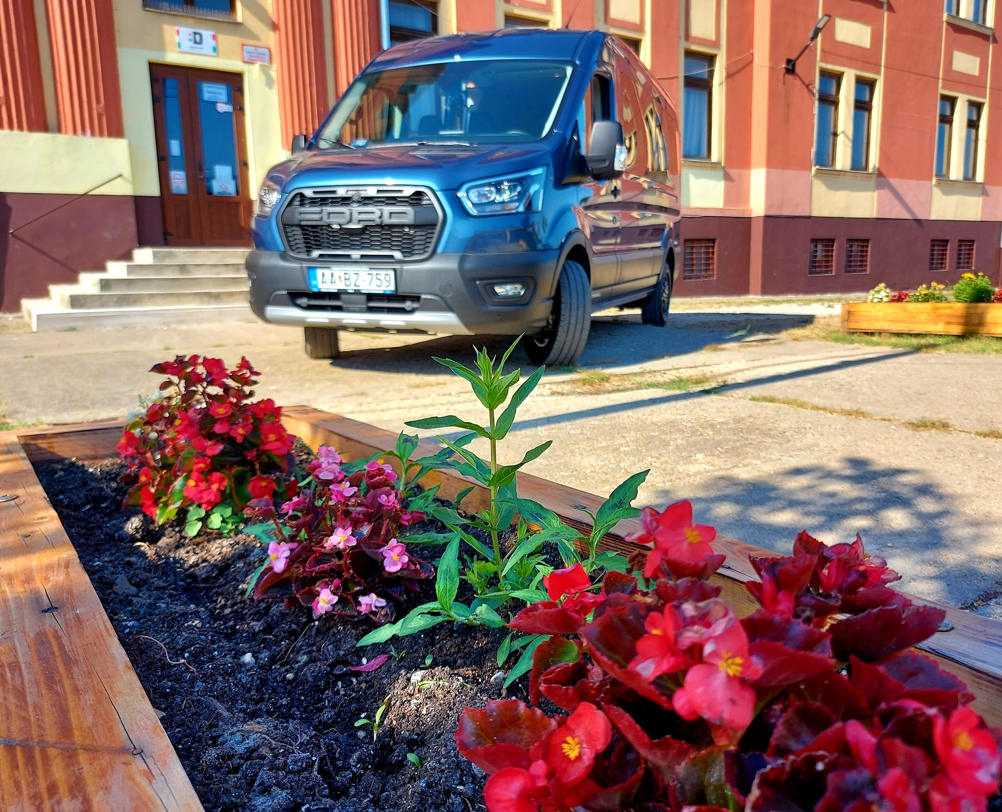 ford1